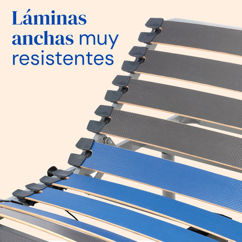 Cama articulada con patas regulables, colchón sanitario y barandillas